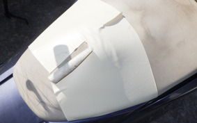 YAMAHA MAJESTY 250 Gen.4 1995 SG20J