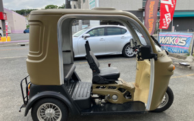 OTHER AP TRIKE 125