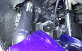 KAWASAKI NINJA 250R EX250K