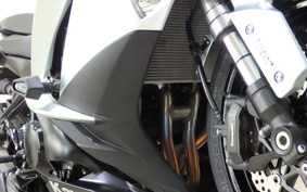 KAWASAKI NINJA 1000 2018 ZXT00W
