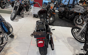 HARLEY XL1200L 2010 CX3
