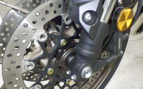 HONDA CB650R E-Clutch 2025 RH17