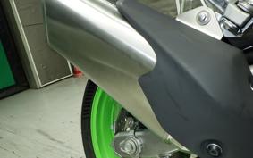 KAWASAKI ZX-4RR 2024 ZX400P
