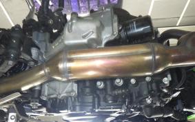 KAWASAKI Z250 Gen.2 2025 EX250Y