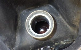 SUZUKI SKYWAVE 250 (Burgman 250) CJ42A