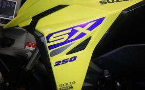 SUZUKI Vｽﾄﾛｰﾑ250SX 2007 EL11L