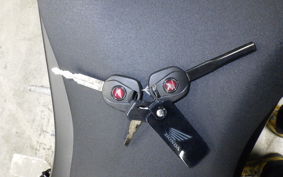 HONDA CBR600RR 2025