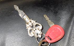 HONDA REBEL 250 MC13