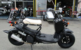 HONDA ZUMAR AF58