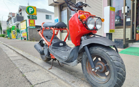 HONDA ZUMAR AF58