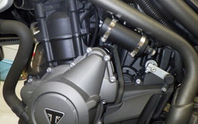 TRIUMPH TIGER 800 XR T 2020