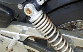 YAMAHA VIRAGO 250 2024 3DM