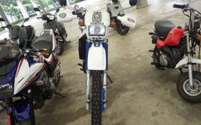YAMAHA DT200 R 2009 37F