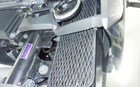 SUZUKI Vｽﾄﾛｰﾑ250SX 2011 EL11L