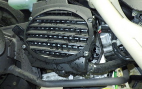 HONDA ZOOMER 2010 AF58