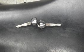 KAWASAKI ZX 1400 NINJA R 2014