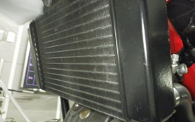 HONDA VTRF250 2019 MC33