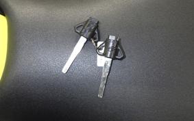 YAMAHA YZF-R15 RG86J