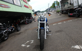 HARLEY FXDL1580 2020 GNM