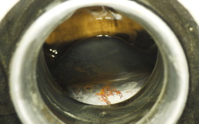 YAMAHA JOG 90 Sports Edition