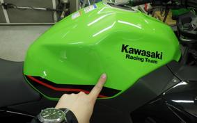 KAWASAKI NINJA 400 2022 EX400G