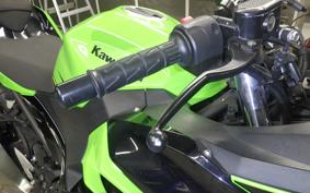 KAWASAKI NINJA 250 2021 EX250P