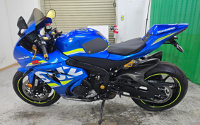 SUZUKI GSX-R1000R 2019 DM11A