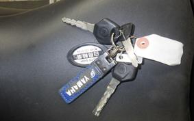 YAMAHA YZF-R25 2024 RG43J