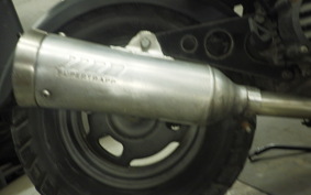 HONDA ZOOMER 2025 AF58