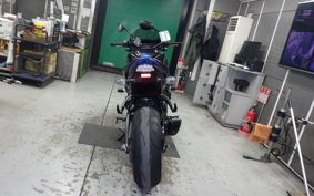 SUZUKI GSX-S 1000 2019