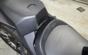 OTHER CAN-AMﾗｲｶｰ900 RALLYED 2019