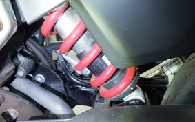 HONDA VTRF250 2021 MC33