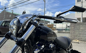 HARLEY  HARLEY FXBRS 2019 YHK