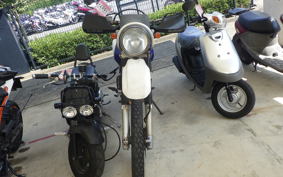 SUZUKI DJEBEL 250 XC 2010 SJ45A
