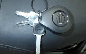 HARLEY FXLRST1920 2023