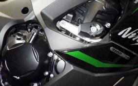 KAWASAKI NINJA 1100SX 2025 ZXT10H