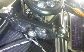 INDIAN FTR1200 2021