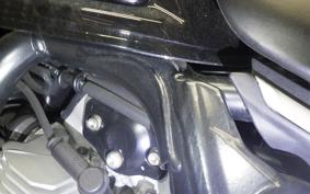 DUCATI SCRAMBLER FULL THROTTLE 2019