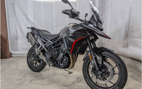 TRIUMPH TIGER 900 2024 TRC81D