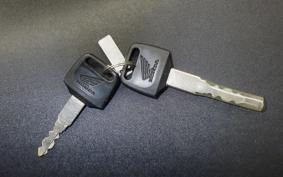 HONDA CBR1100XX 1998