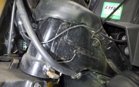 HONDA GROM 2001 JC75
