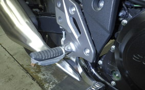 SUZUKI GSX250R 2025