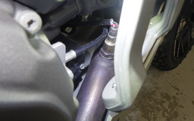 DUCATI DESSERT X 2022