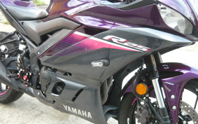 YAMAHA YZF-R25 ABS RG74J
