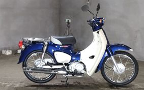 HONDA SUPER CUB110 JA44