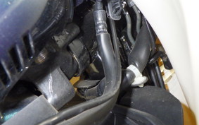 HONDA C110 SUPER CUB