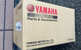 YAMAHA YZF-R15 RG86J
