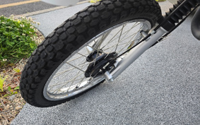 SUZUKI TS185ER SG12A