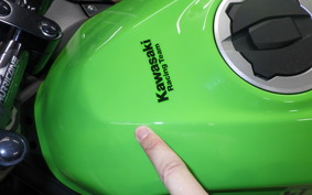 KAWASAKI NINJA 400 2019 EX400G