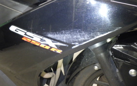 SUZUKI GSX250R